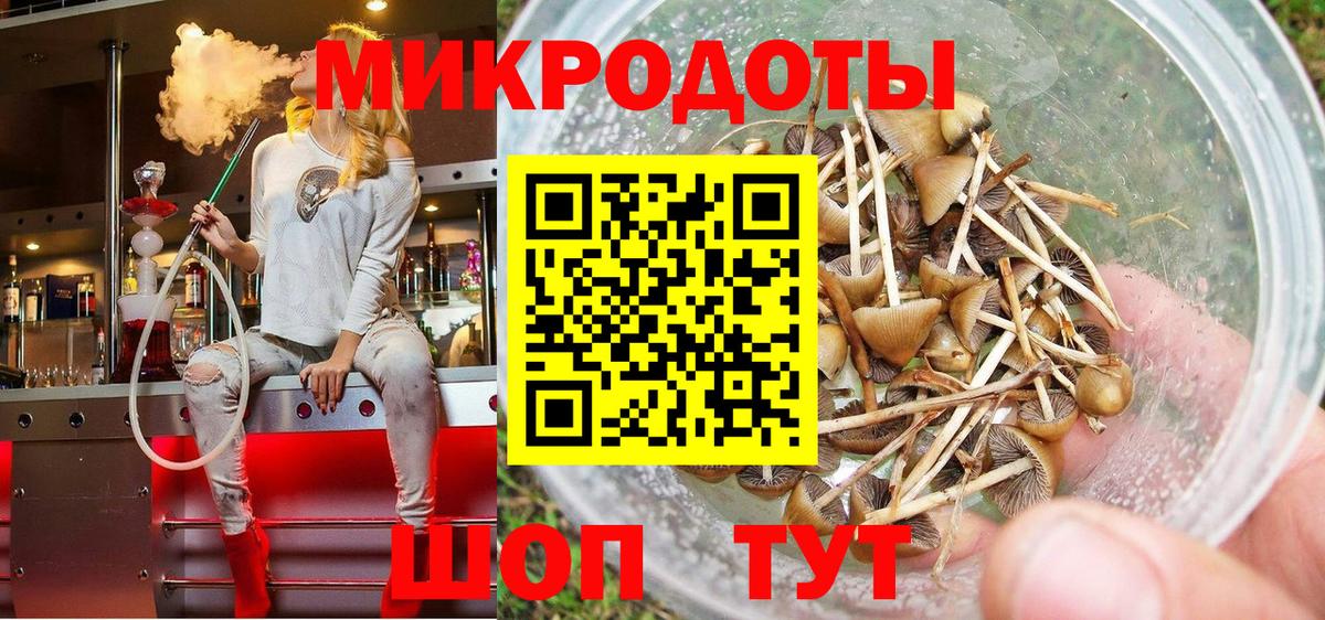 Галлюциногенные грибы Psilocybe Ангарск