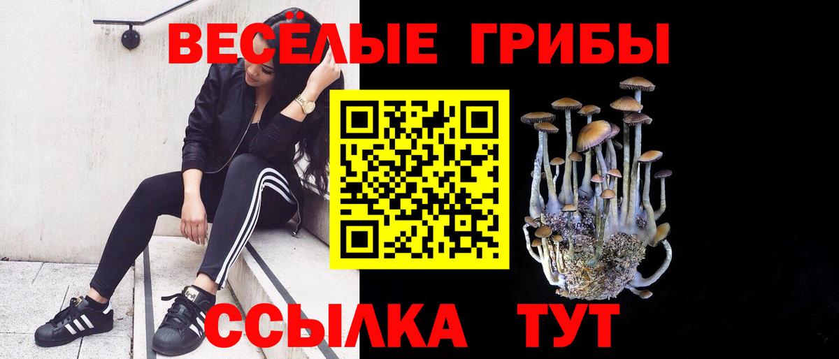 где продают   Галлюциногенные грибы Cubensis  Вход с VPN  Ангарск 